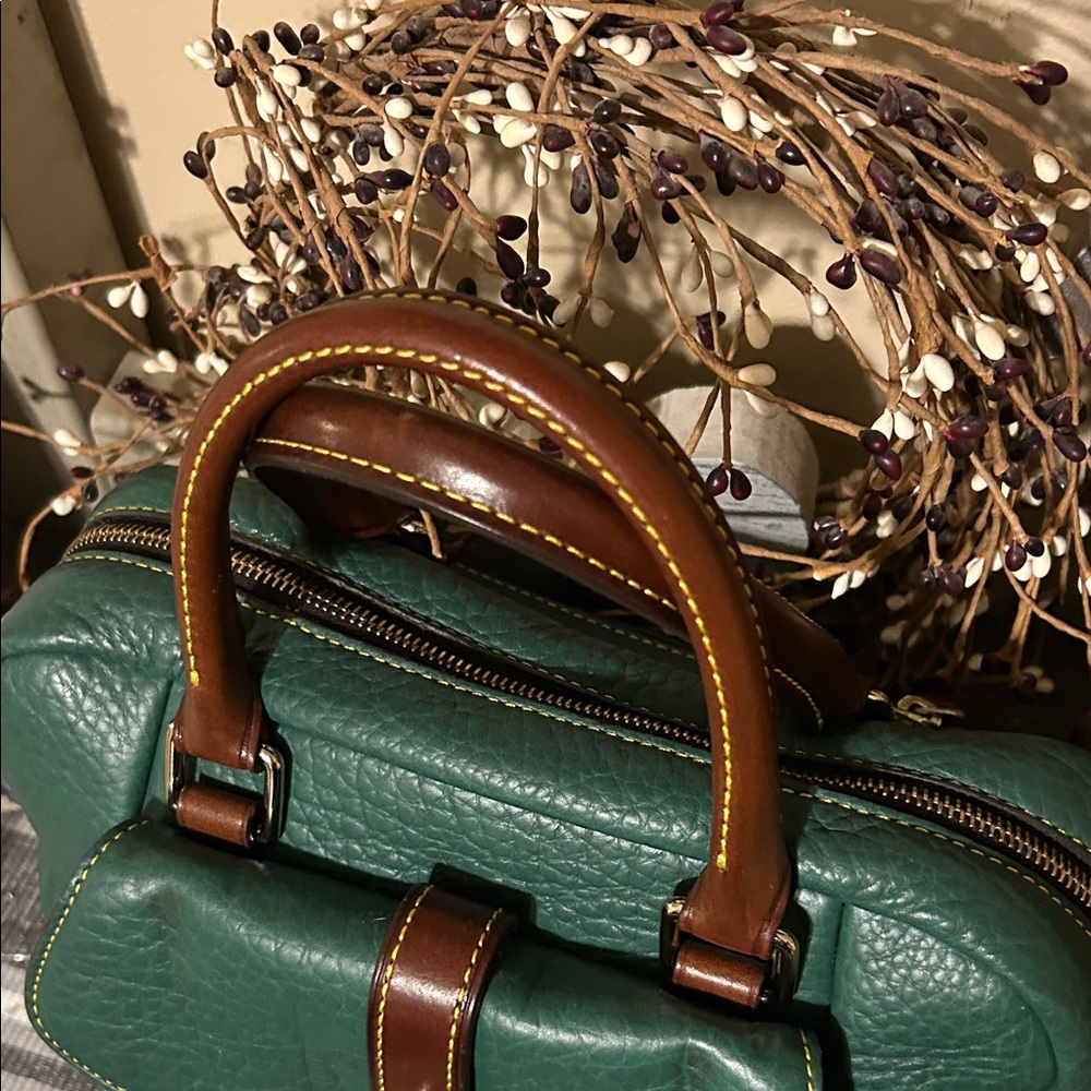 Dooney & Bourke Green Satchel with Brown Accents - Picture 5 of 11